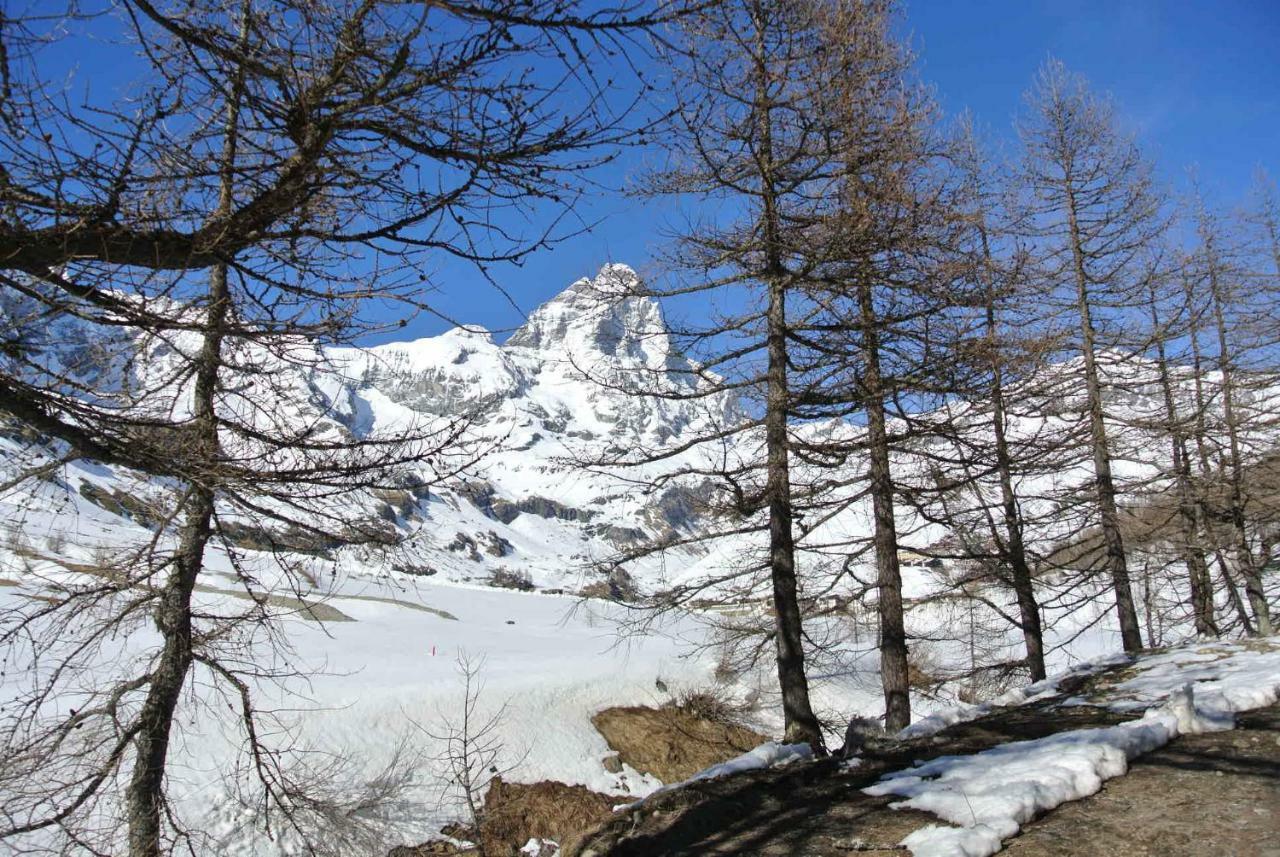 President Palace - Breuil Cervinia -Appartamento 6 - Cir 0634 エクステリア 写真