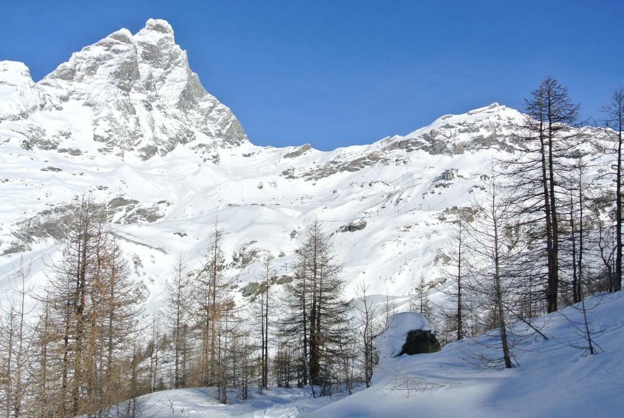 President Palace - Breuil Cervinia -Appartamento 6 - Cir 0634 エクステリア 写真